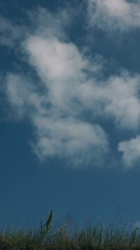 Grass swaying in the wind against a blue sky with drifting clouds

