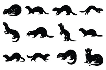 Fototapeta premium Ferret mammal silhouette vector collection isolated on white background