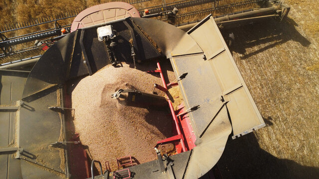 A high-angle top-down aerial drone photograph offering a close-up perspective of a red combine harvester's grain hopper filling with freshly threshed grain.