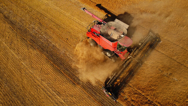 A high-angle top-down aerial drone photograph capturing a large red combine harvester kicking up a thick cloud of golden dust as it operates across a harvested grain field.