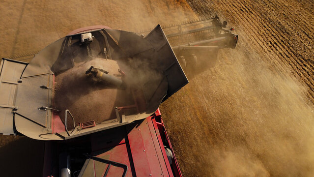 A high-angle top-down aerial drone photograph offering a close-up perspective of a red combine harvester's grain hopper filling with freshly threshed grain.
