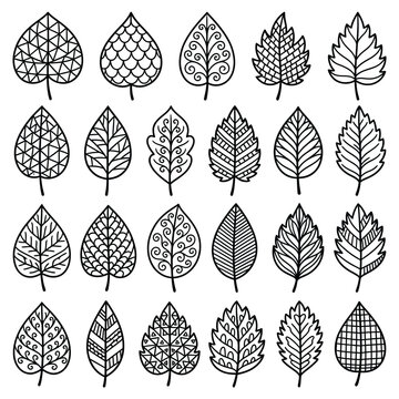 Set of hand drawn decorative leaves with doodle patterns in black line art style.