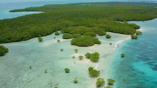 Aerial view of a lush island with clear waters and coral formations.