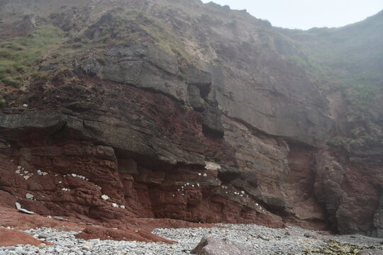 Heart shape stones on the cliffs, Dunmore East Cliff Walk, Co. Wexford, Ireland