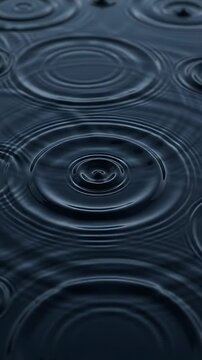 Water Ripples Expanding in Concentric Circles. Smooth Looping Animation of Surface Waves From Disturbance.