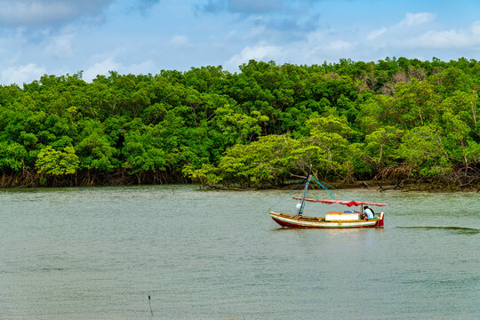 Small fishing boat navigating the mangroves of Alcantara, Maranhao.