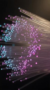 Fiber Optic Strands Glowing with Blue and Pink Light, Dynamically Moving and Swirling in a Seamless Looping Animation.