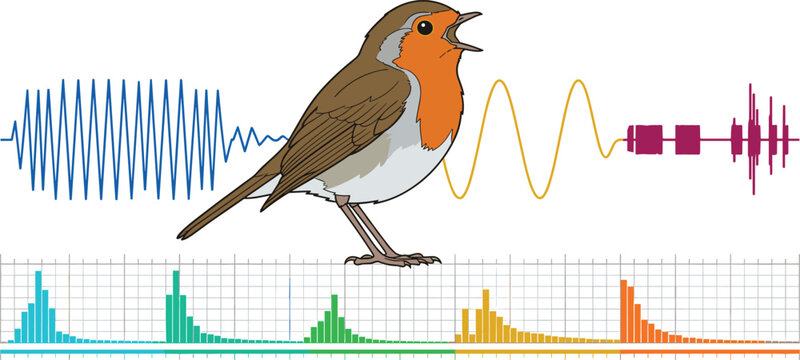 Singing Robin Bird Vector Illustration with Audio Sound Wave and Frequency Analysis Graph
