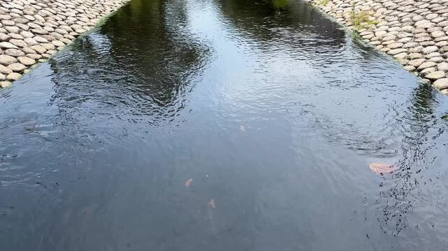 石畳の護岸に挟まれた小川を流れる透明な水面　木々の映り込みと揺らぐ水紋が穏やかな雰囲気の風景動画素材　プレゼンテーションやヒーリング映像の背景としても活用できる高解像度の横長背景映像素材