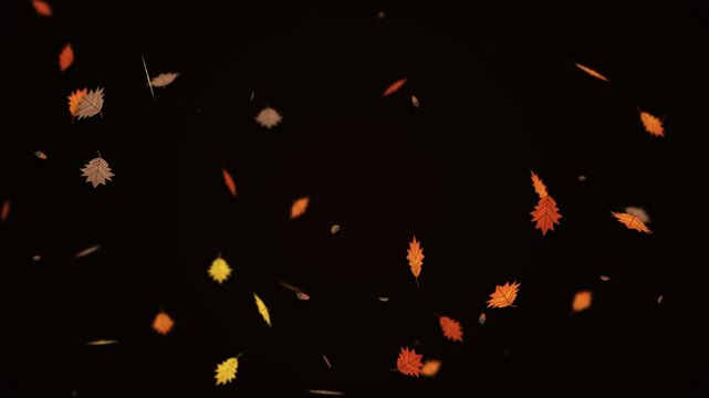 Autumn Leaves and Acorns Falling Animation