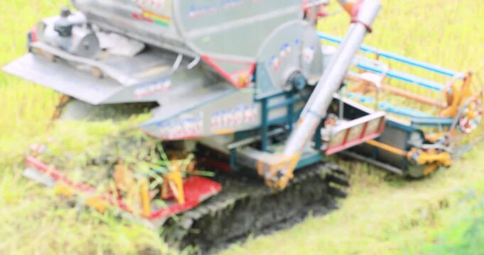 Blurred Combine harvester harvesting rice in a field, Rice harvester working in a paddy field, harvest, agriculture, farming machinery, rural life, and modern agricultural technology