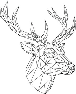 Geometric Deer Head Vector Line Art Illustration on White Background