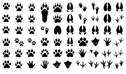 Obraz premium Animal Tracks Bird Footprints Educational Isolated Vector Set
