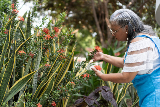 Elderly woman enjoying gardening outdoors tending plants