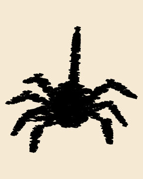 Hand Drawn Black Spider in Scribble Sketch Style for Halloween Design