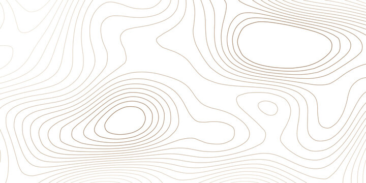 Minimal brown topographic map background. Abstract thin contour lines with soft tan elevation on white. Clean design for banner, presentation and cover.