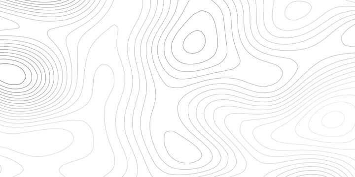Abstract grey topographic map background. Classic contour line pattern with wavy elevation on white. Modern design for banner, cover and presentation.