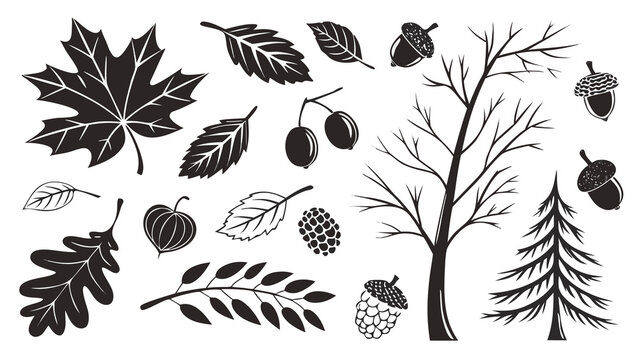 Black Silhouette Collection of Trees and Leaves, Botanical Foliage Elements for Nature, Floral Pattern, Wallpaper, Decorative Design and Vector Illustration