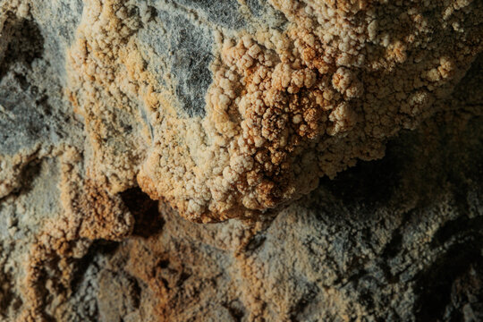 dettagli di una formazione minerale o concrezione calcarea naturale con una struttura botrioidale o a "cavolfiore" su una superficie rocciosa