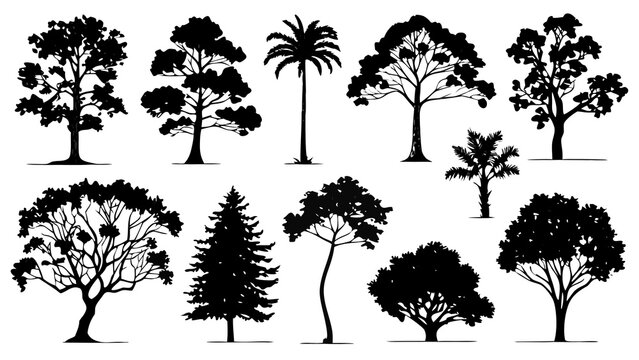 Set of Tree Silhouettes Collection for Nature, Forest, Woodland and Environmental Design