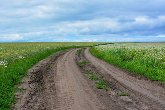 Winding Dirt Road Through Rural Agricultural Fields and clody sky, copy space