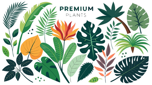 Elegant Set of Floral Elements and Beautiful Flowers Vector Illustration for Decorative Background, Botanical Pattern, and Nature Inspired Design