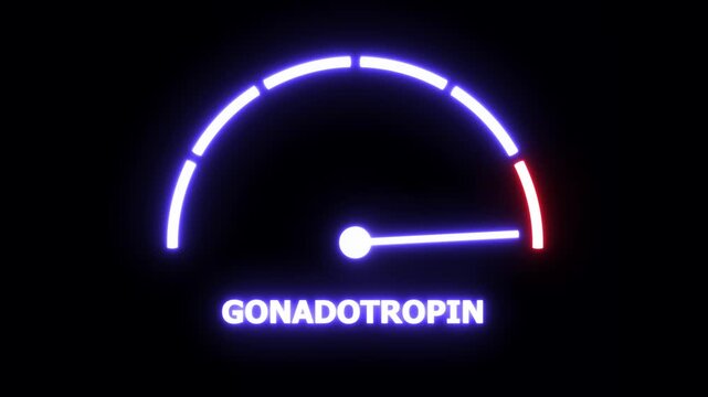 Neon glowing gonadotropin level gauge indicator motion displaying hormonal fluctuations and biological measurement data for medical research, clinical diagnostics, and endocrinology presentations