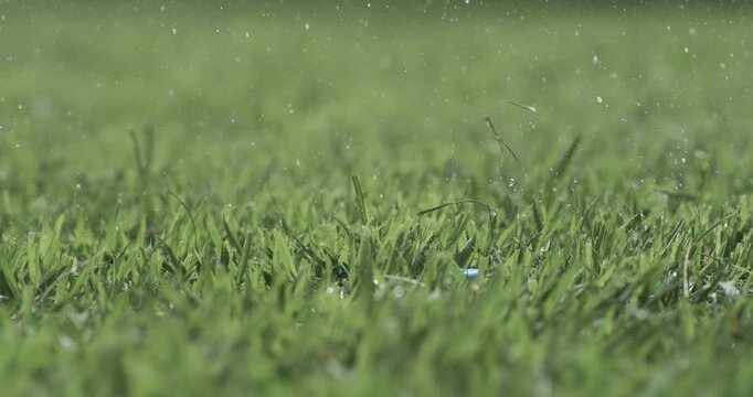 Golf club hits a white golf ball in a super slow motion. Drops of morning dew and grass particles rise into the air after the impact. Shot on super slow motion camera 1000 fps.