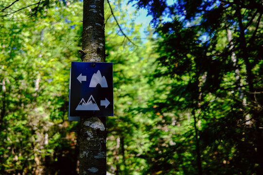 Panneau de signalisation sur un sentier forestier, avec la for&ecirc;t en arri&egrave;re-plan. Panneau indiquant la direction de la montagne et de la grotte.