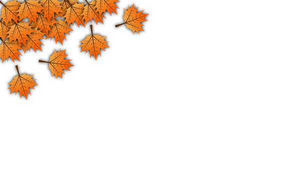 Autumn Maple Leaves Top Left Corner Falling Foliage PNG