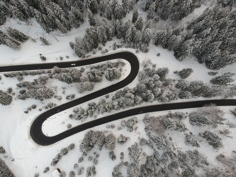 View from above of the fores full of snow in winter time. Carpathian Mountains, Romania