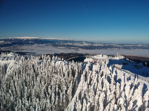 View from above of the fores full of snow in winter time. Carpathian Mountains, Romania