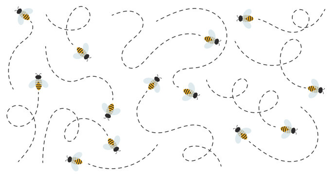 Bees flying on a dotted route, insect icon