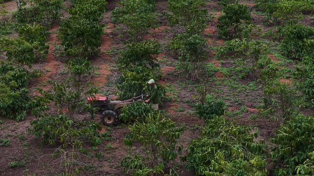 Hard work on the red soil: tilling the highland coffee farm&hellip;