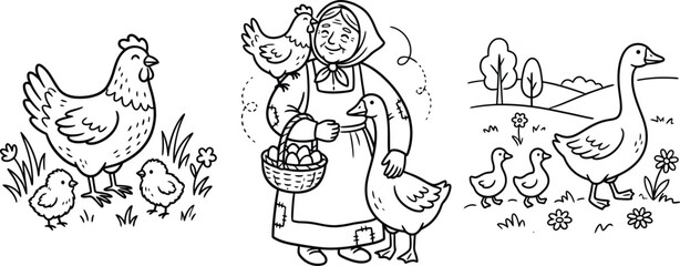Obraz premium Hand drawn farm coloring page, grandmother with poultry and eggs, rural life line art vector, hen and goose illustration