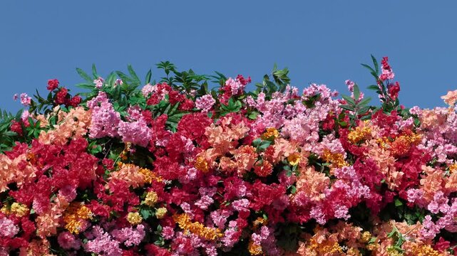 Bright floral arrangement with red, pink, orange blossoms and green foliage under clear sky