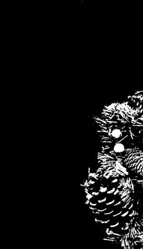  black background, glowing, night, pine cone.