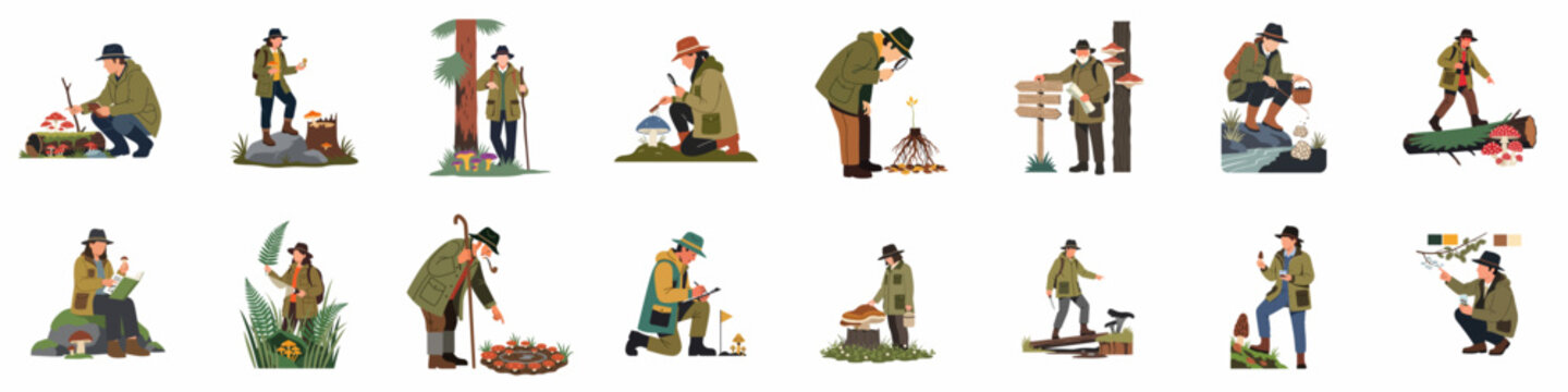 Set of vector illustrations featuring men and women foraging for mushrooms, mushroom picking, and nature exploration in the forest.