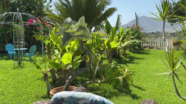 Jard&iacute;n mediterr&aacute;neo con plantas movidas por el viento