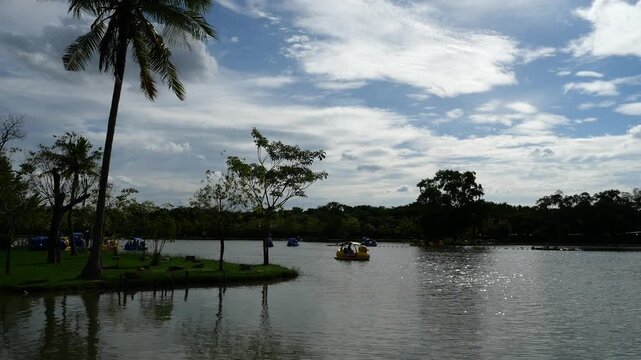 Pedal boats in public park 