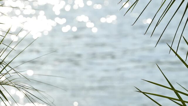 Palm leaves framing sparkling ocean water creating a tranquil summer vacation background
