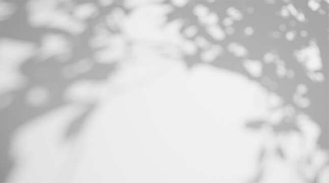 Abstract blurred tree leaf shadow overlay isolated on white background. Soft botanical silhouette with gobo light effect