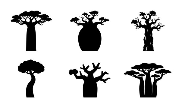 Baobab Tree Silhouettes, African Flora Vector Icons, Exotic Plant Shapes, Diverse Botanical Illustrations