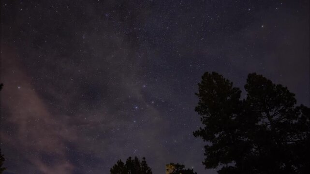 Tracking time lapse of stars and thin clouds above the forest at night