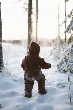 Rear view of baby boy wearing hooded sweater walking on snowy landscape