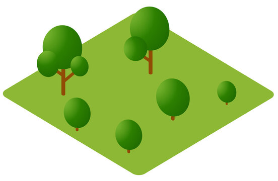 Isometric green park landscape with trees on grass