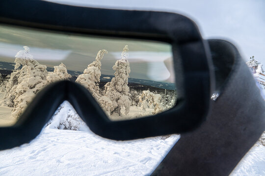 Frozen trees covered with snow seen from googles