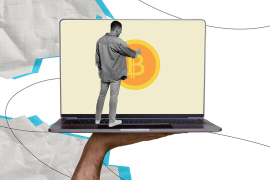 Composite photo collage of smile american guy stand back macbook income bitcoin symbol freelance work nft isolated on painted background