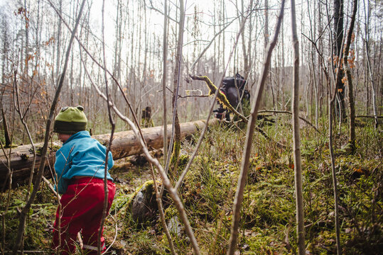Rear view of elementary boy playing in woods at forest