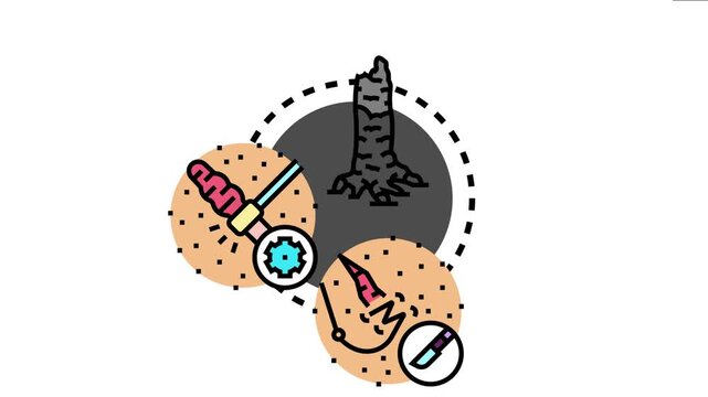 Forest firebreak management methods icon showing a burnt tree stump and tools used for controlled burn and fire prevention in areas prone to wildfires